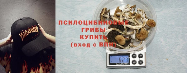гидра Магас