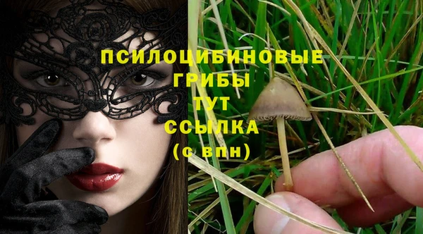амф Майский
