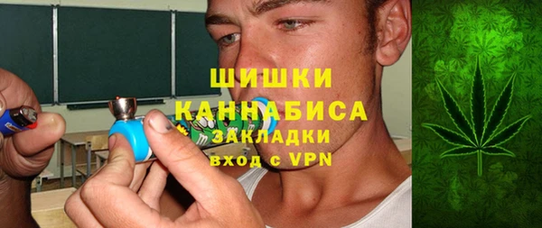 гидра Магас